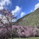 大理州旅游 缩略图 4