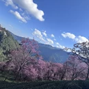 大理州旅游 缩略图 3