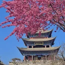 大理州旅游 缩略图 1