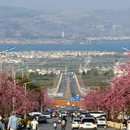 大理州旅游 缩略图 1