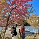 大理州旅游 缩略图 13