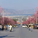 大理州旅游 缩略图 2