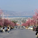 大理州旅游 缩略图 3