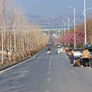 大理州旅游 缩略图 9