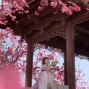 大理州旅游 缩略图 1