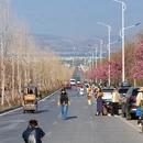 大理州旅游 缩略图 10