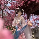 大理州旅游 缩略图 3