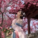 大理州旅游 缩略图 7