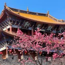 大理州旅游 缩略图 12