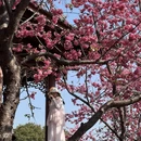 大理州旅游 缩略图 4