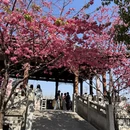 大理州旅游 缩略图 5