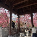 大理州旅游 缩略图 3