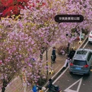 深圳旅游 缩略图 2