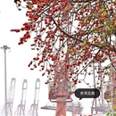 深圳旅游 缩略图 10