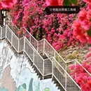 深圳旅游 缩略图 7