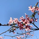 广州旅游 缩略图 3