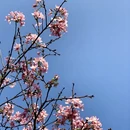 广州旅游 缩略图 1