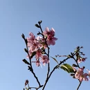广州旅游 缩略图 8