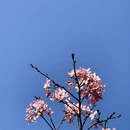 广州旅游 缩略图 7
