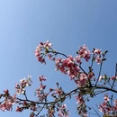 广州旅游 缩略图 9