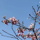 广州旅游 缩略图 6