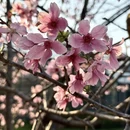 广州旅游 缩略图 13