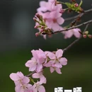 广州旅游 缩略图 1