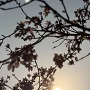 广州旅游 缩略图 18