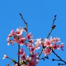 广州旅游 缩略图 6