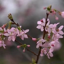 广州旅游 缩略图 8