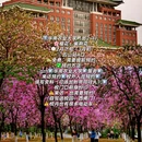 广州旅游 缩略图 2