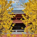 广州旅游 缩略图 5