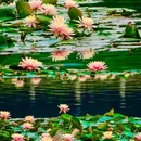 广州旅游 缩略图 10