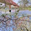 广州旅游 缩略图 13