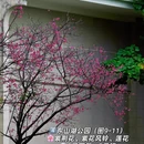 广州旅游 缩略图 9