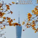 广州旅游 缩略图 12