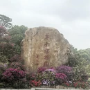 广州旅游 缩略图 2
