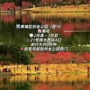 广州旅游 缩略图 16