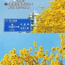 广州旅游 缩略图 17