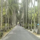 广州旅游 缩略图 3