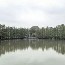 广州旅游 缩略图 5