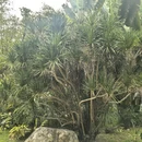 广州旅游 缩略图 13
