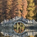 广州旅游 缩略图 2