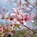 广州旅游 缩略图 1