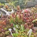 广州旅游 缩略图 9