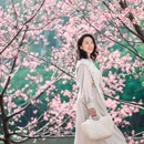 广州旅游 缩略图 6