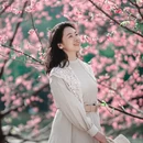 广州旅游 缩略图 7