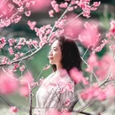 广州旅游 缩略图 8