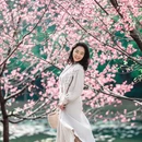 广州旅游 缩略图 13