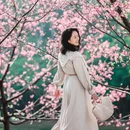 广州旅游 缩略图 9